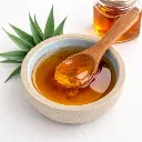 Agave .webp